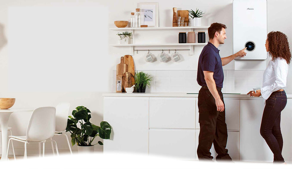 web top banner.jpg